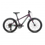 ORBEA – MX 20 DIRT