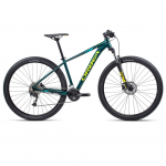 ORBEA – MX 40 29